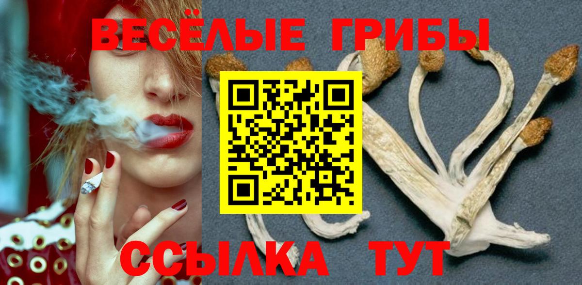 Хасавюрт  Псилоцибиновые грибы GOLDEN TEACHER  Вход с VPN 